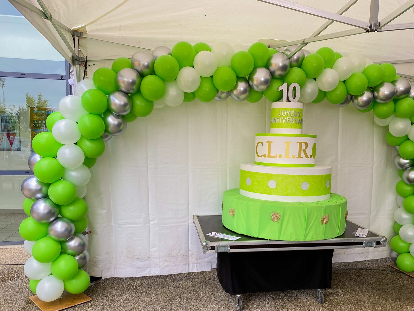 Gâteau géant des 10 ans sous une arche de ballons verts et argent