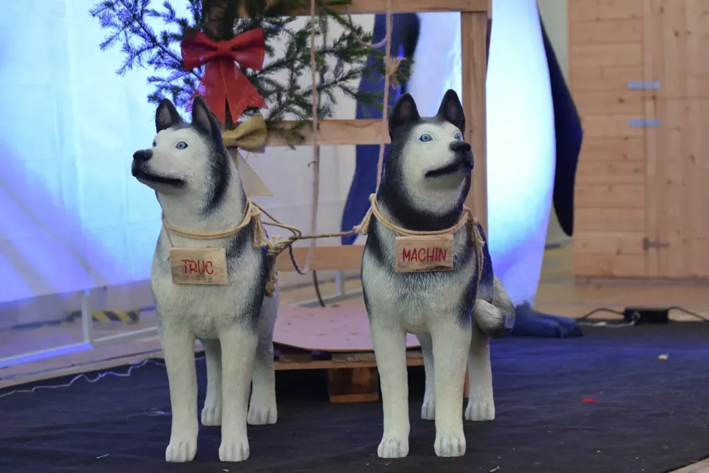 Chiens de traîneau