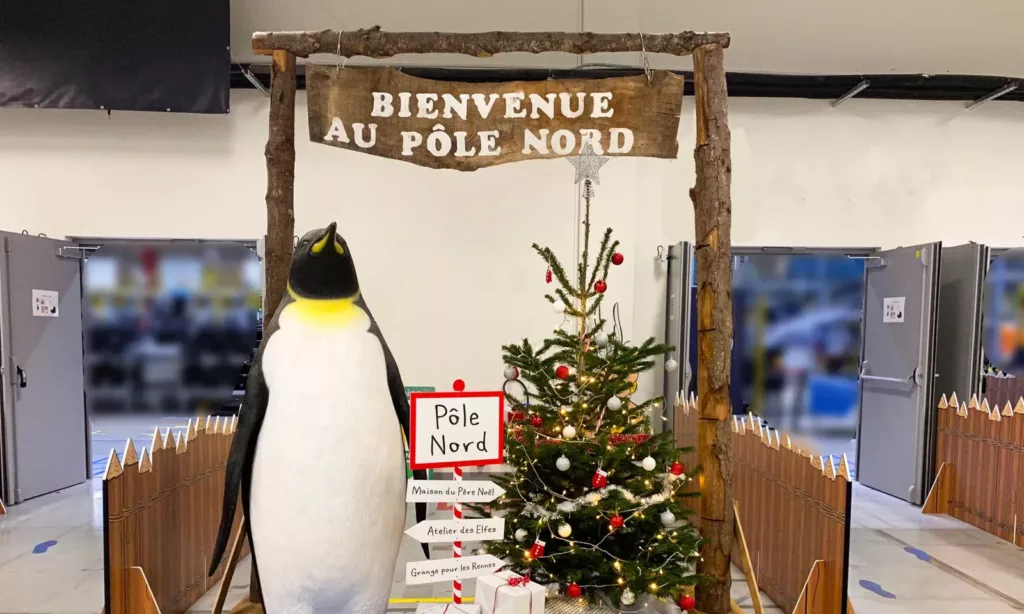 Pingouin et panneau Pôle Nord